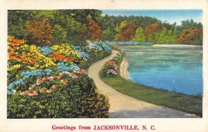 Jacksonville North Carolina Scenic Roadway Greeting Antique Postcard K78036