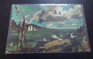 UNUSED POSTCARD - GULLS ALONG THE COAST OF MAINE - BACK IS STAINED