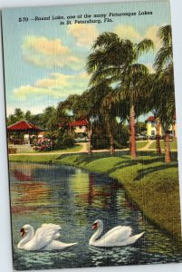 postcard St. Petersburg, Florida - swans at Round Lake