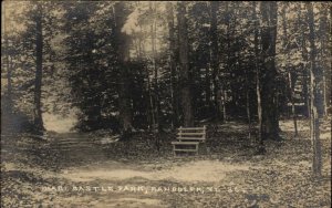 Randolph Vermont VT Mari Castle Park Eastern Illus Real Photo Vintage Postcard