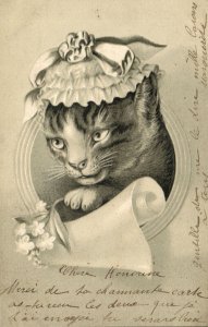 PC CATS, CAT IN A HAT, Vintage EMBOSSED Postcard (b47068)