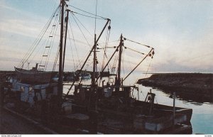 Cape Cod , Massachusetts , 50-60s ; Fishing Boats at sunset