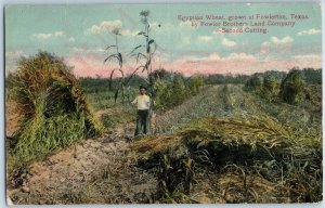 c1910s Fowlerton, TX Egyptian Wheat Fowler Brothers Land Co Frio Valley A189