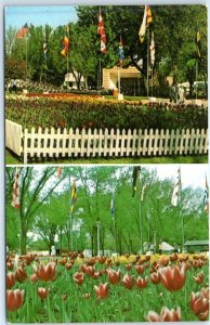 Postcard - The Lane of Flags of Holland - Orange City, Iowa