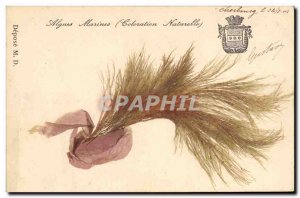 Old Postcard Fantasy Flowers dried Seaweed