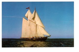 Bluenose II Schooner Sailing