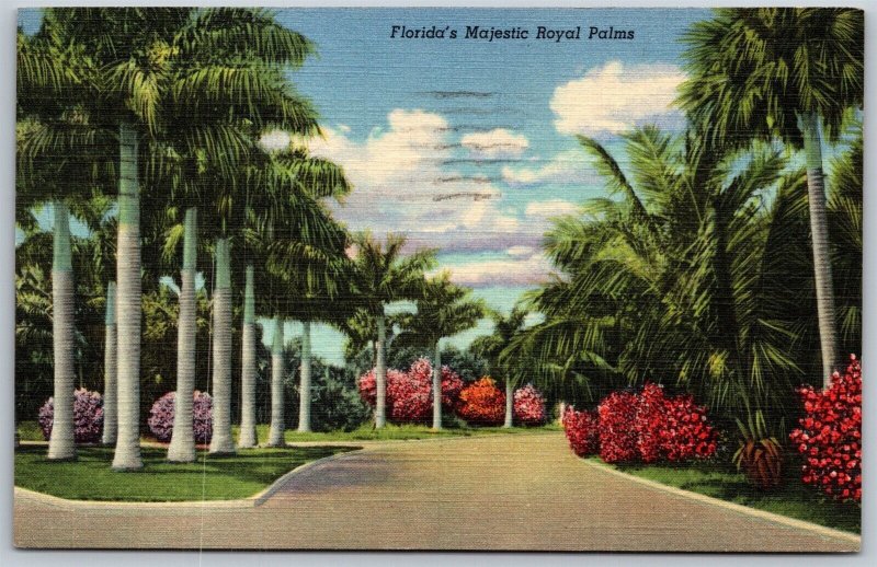 Vtg Florida's FL Majestic Royal Palms Street Linen Trees 1940s View Postcard