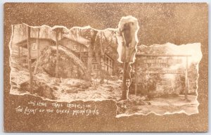 Vintage Long Trail Lodge Green Mountains Vermont Razor RPPC Postcard