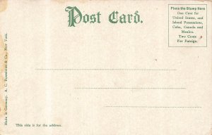 De Land FL~A typical Florida View~1900s Postcard