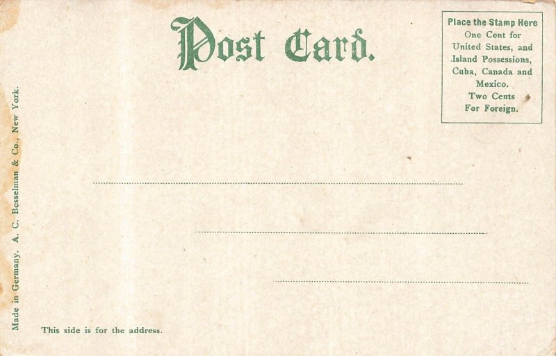 De Land FL~A typical Florida View~1900s Postcard