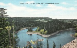 Vintage Postcard 1930's View of Alexander Lake on Grand Mesa Western Colorado CO