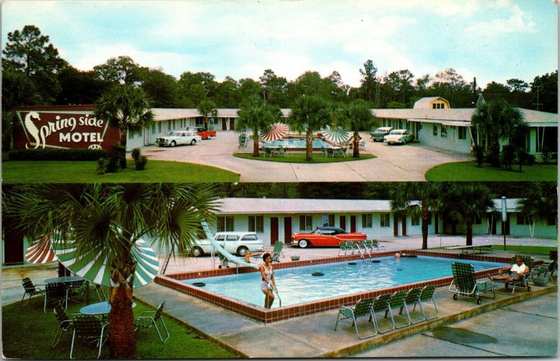 Silver Springs, FL - Spring Side Motel - Exterior - MCM - PHOTO CHROME POSTCARD 