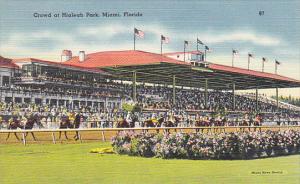 Horse Racing Crowd At Hialeah Park Miami Florida