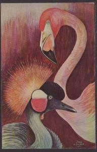 Flamingo,Crown Crane,Sivers Postcard 