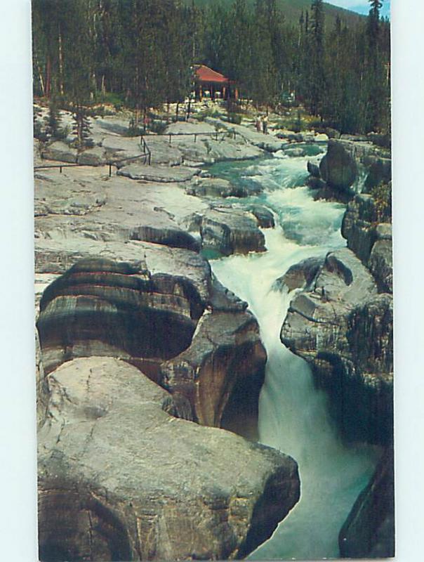 Pre-1980 NATURE SCENE Jasper Park Alberta AB AD3680