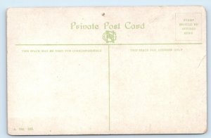 VANCOUVER Cedar Tree 60 ft circumference Stanley Park B.C. Canada Postcard