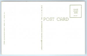 JOLIET, IL Illinois ~ LARGE LETTER CHROME c1950s Will County Postcard