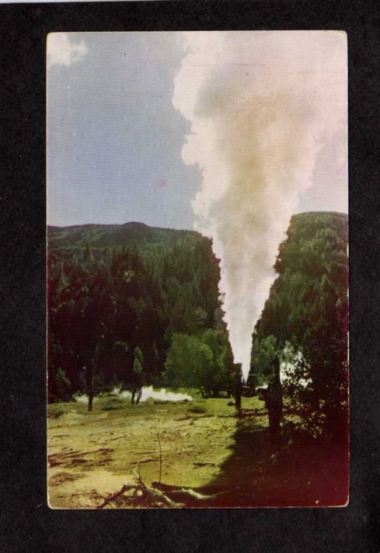 CA Steamboat Geyser The Big Geysers Resort Cloverdale, California Postcard