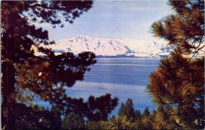 Lake Tahoe Snow Covered Sierras Chrome Postcard Roberts Studios Spangler NV