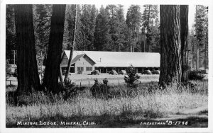 Eastman #B-1740 Fresno California 1940s Mineral Lodge RPPC Photo Postcard 12888