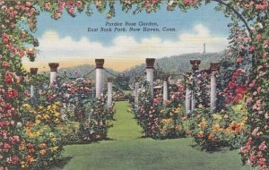 Pardee Rose Garden East Rock Park New Haven Connecticut 1944