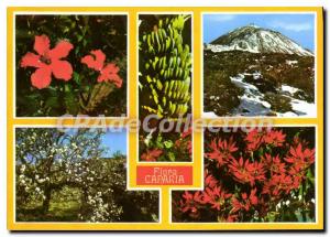 Postcard Modern Tenerife Canaria Flora