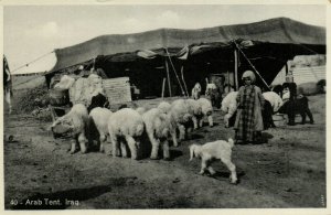 PC CPA IRAQ, ARAB TENT, VINTAGE REAL PHOTO POSTCARD (b16230)