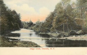 c1906 Chromolithograph Postcard; Otego Creek, Oneonta NY Otsego County Unposted