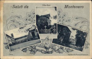 ITALY Saluti da Montenero Multi-View PEACOCK BORDER Antique Postcard
