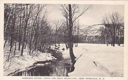 New Hampshire Intervale Merriman Brook Ledge and Moat Mountains Albertype