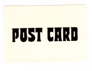 The Word POST CARD on White Background Sample from Holiday House Merchandising