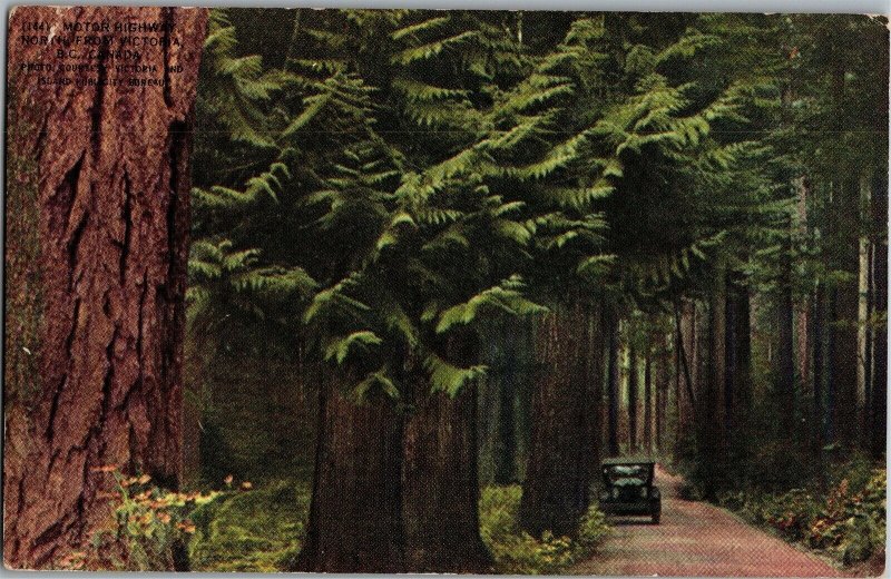 Motor Highway North from Victoria British Columbia Vintage Postcard S03 