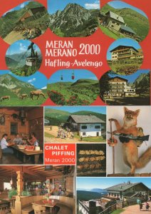 Chalet Piffing Meran 2000 Italy Merano 2x Postcard s