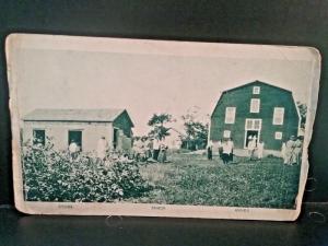 Postcard Early 1900s View of Store,  Shack & Annex in NY    Z5