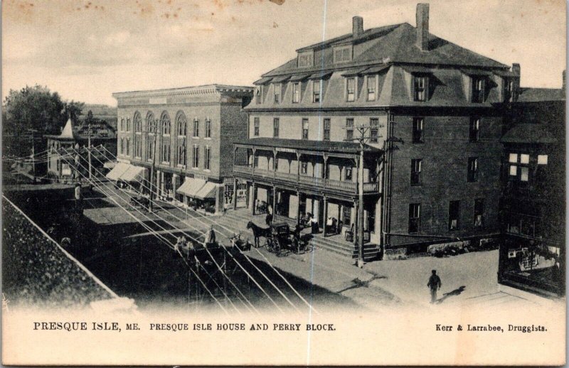 Tucks 044 Presque Isle House and Perry Block ME UDB Vintage Postcard R66