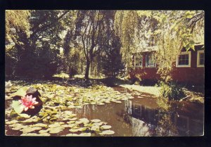 Westfield, Massachusetts/MA/Mass Postcard, Lily Pond At Stanley Park