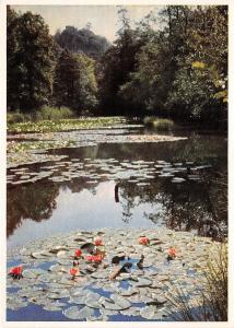 BG10212 thumsee bei bad reichenhall ruine karlstein   germany