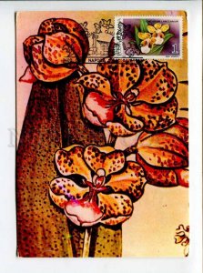 422213 ROMANIA 1990 year flowers orchid maximum card