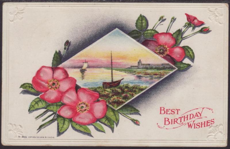 Best Birthday Wshes,Flowers,Scene Postcard