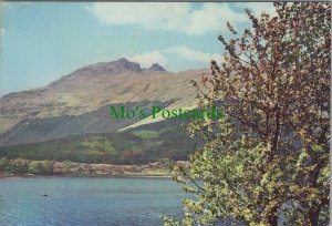 Scotland Postcard -The Cobbler or Ben Arthur,Nr Arrochar,Argyllshire RR10637