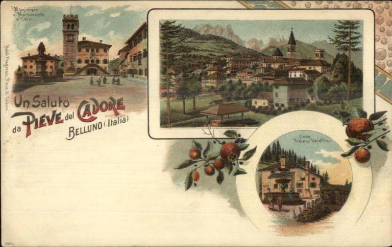 Italy Gruss Aus Style Greeting Un Saluto da Pieve del Cadore Belluno c1900 PC