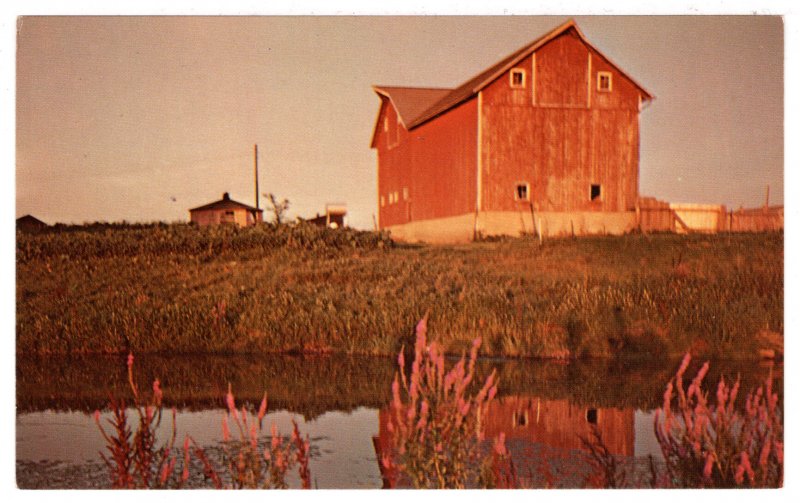 The Creek at Sunset on the Farm, USA