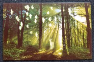 [AG] P440 Forest View Deer Wildlife Bird Tree Fauna (postcard *glow in dark *New