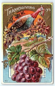 THANKSGIVING Embossed Greeting w/ TURKEY, BUNCH of GRAPES c1910s  Postcard