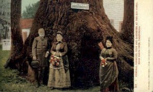 General Fremont, Wife, & Daughter - Santa Cruz, California CA  