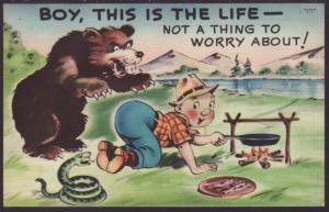 Boy,This is the Life... Bear,Comic Postcard