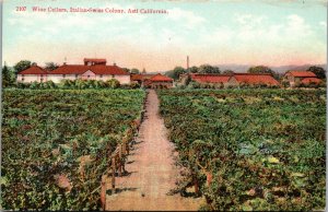 Vtg 1910s Wine Cellars Italian Swiss Colony Asti California CA Postcard