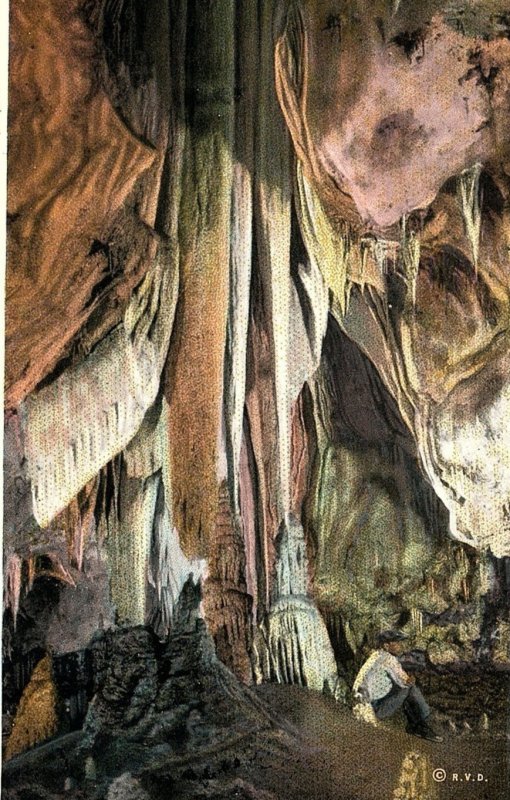 1930s CARLSBAD CAVERN NEW MEXICO ELEPHANT EAR POSTCARD P251