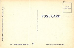 Asheville Post Card Co., North Carolina, camping, mountain stream, Postcard