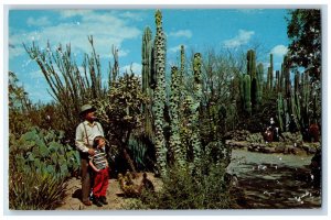 c1950's Desert Botanical Garden Between Tempe and Phoenix Arizona AZ Postcard 